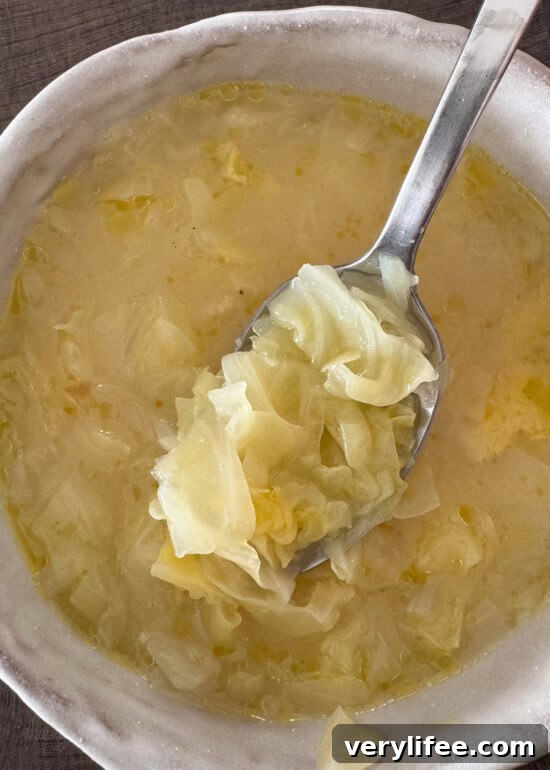 Cabbage Soup photo I took in my kitchen on my phone