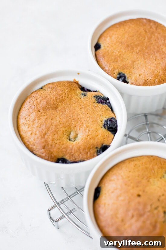 Blueberry Upside Down Cake Recipe with Lemon Glaze 8 Blueberry Upside Down Cakes