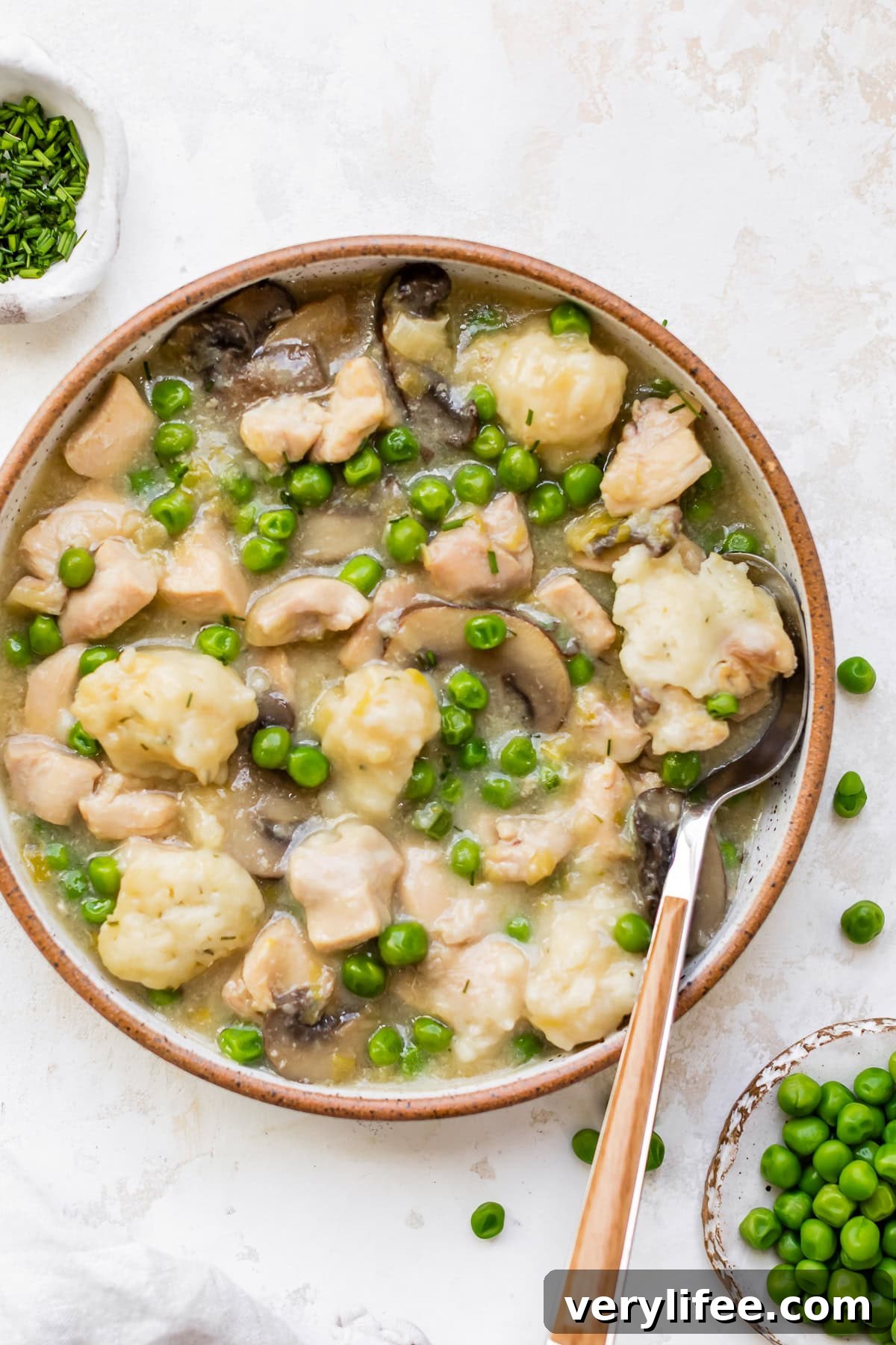 Spring Chicken and Dumplings