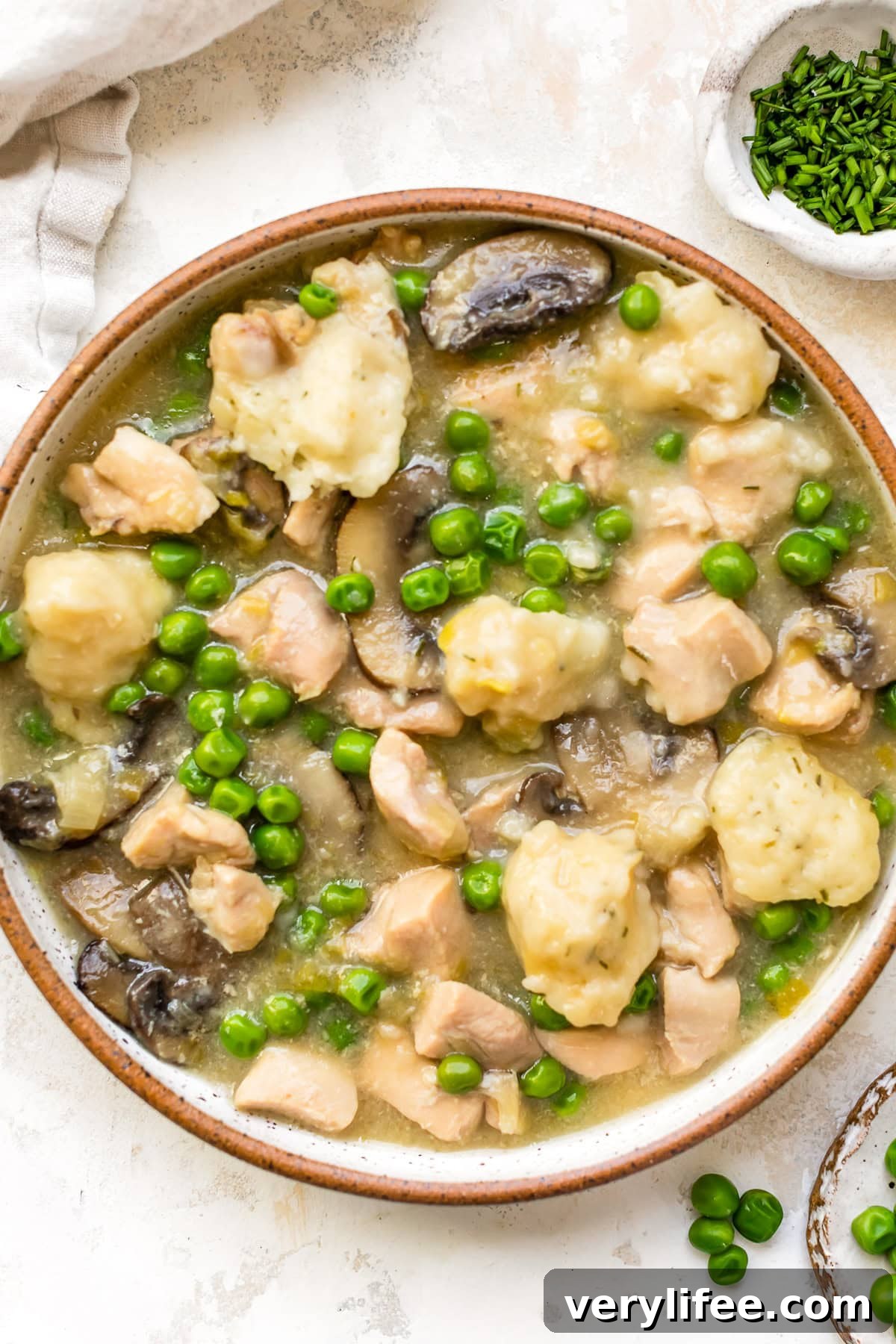 Spring Chicken and Dumplings