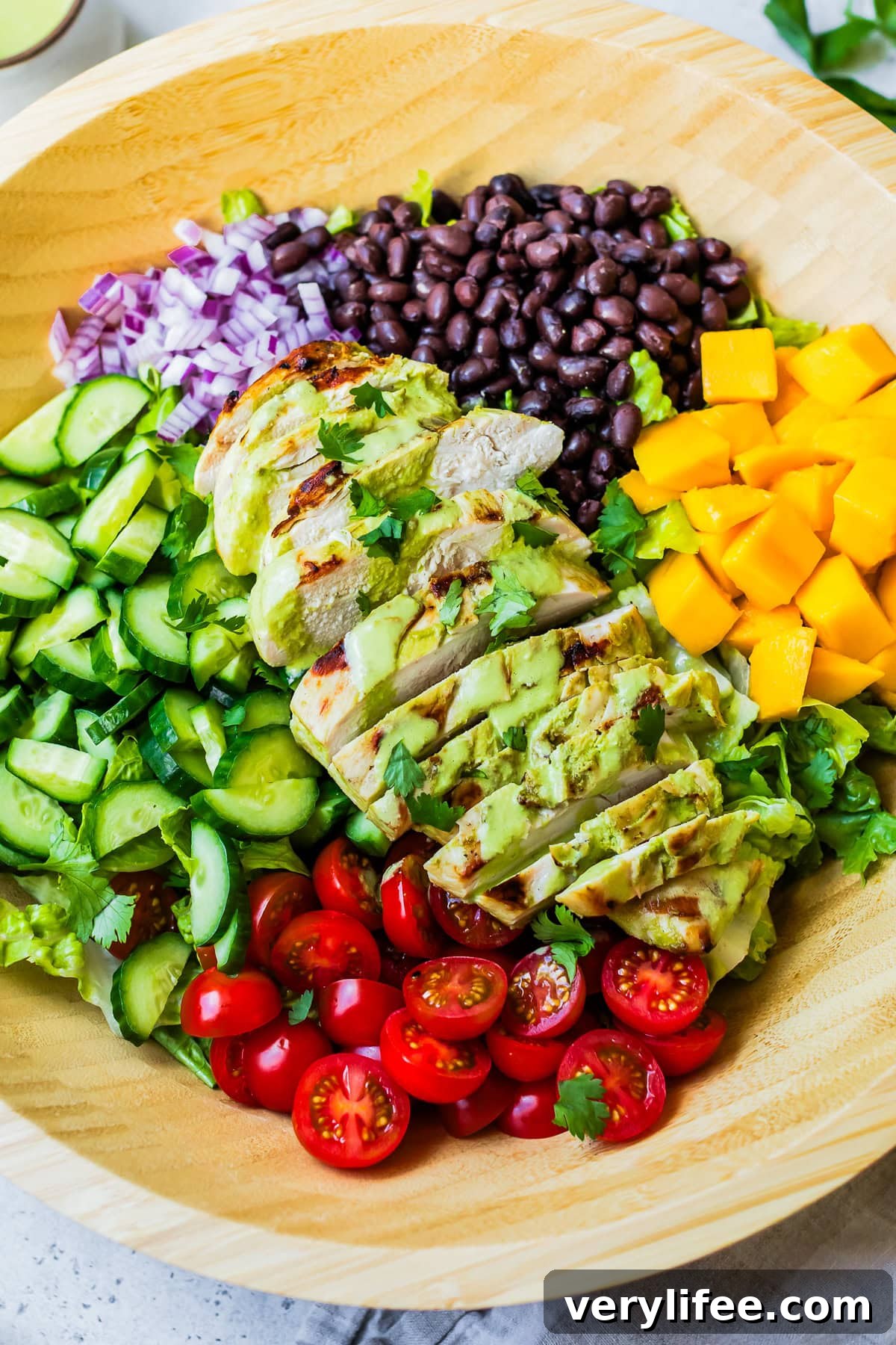 Grilled Chicken Salad with Cilantro Lime Dressing