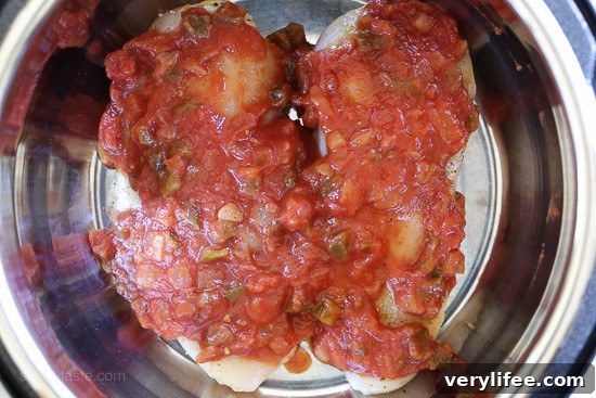 Two chicken breasts covered with salsa inside the Instant Pot.