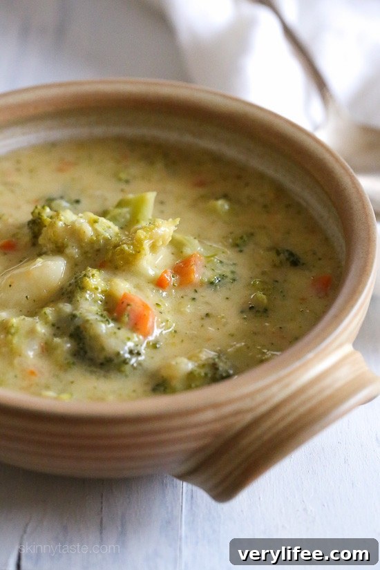 25 Most Popular Skinnytaste Recipes of 2015 23 Broccoli and Cheese Potato Soup