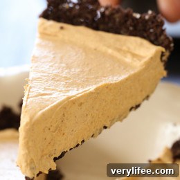 No Bake Pumpkin Cheesecake is an easy, light cheesecake made with pumpkin puree and spices. Under 10 minutes to make, if you use ready-made crust.