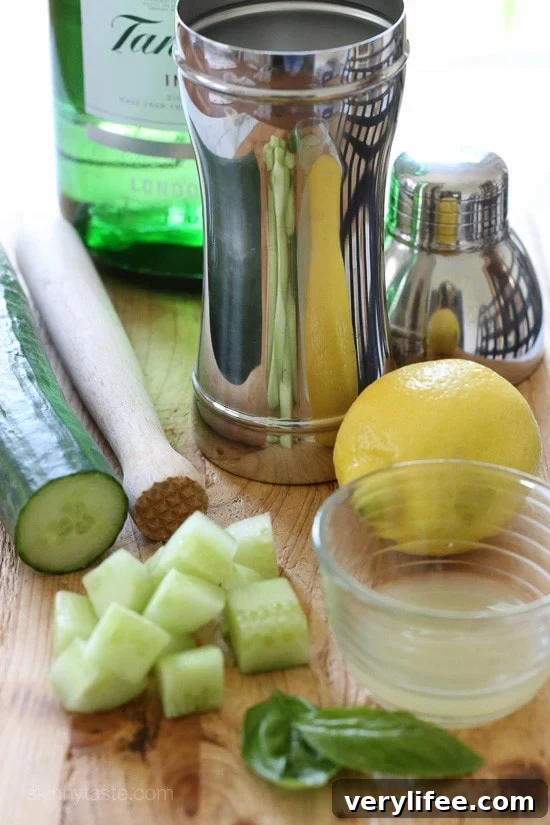 Basil Cucumber Gin Cocktail Recipe 2 Cocktail shaker and ingredients for Basil Cucumber Gin Cooler
