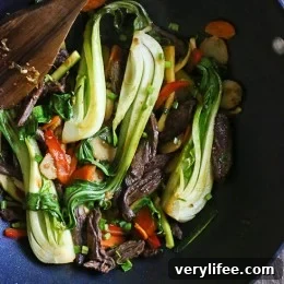 Final plated Skirt Steak, Baby Bok Choy and Zucchini Stir-Fry