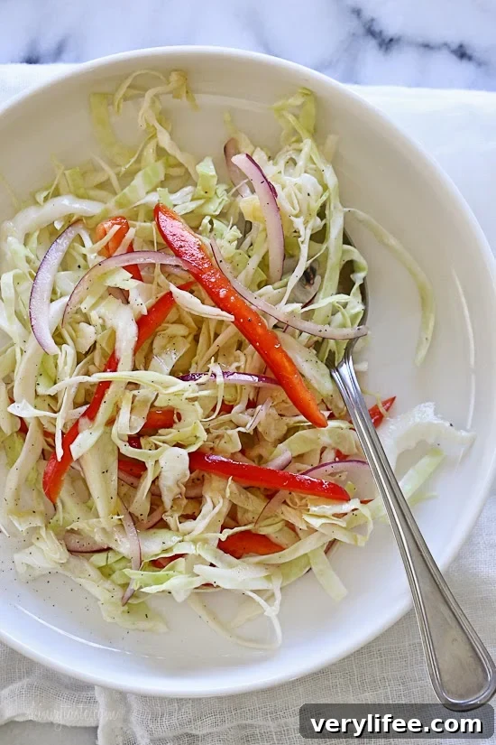 15-Minute Tangy Cabbage Slaw Recipe 2 simple cabbage slaw