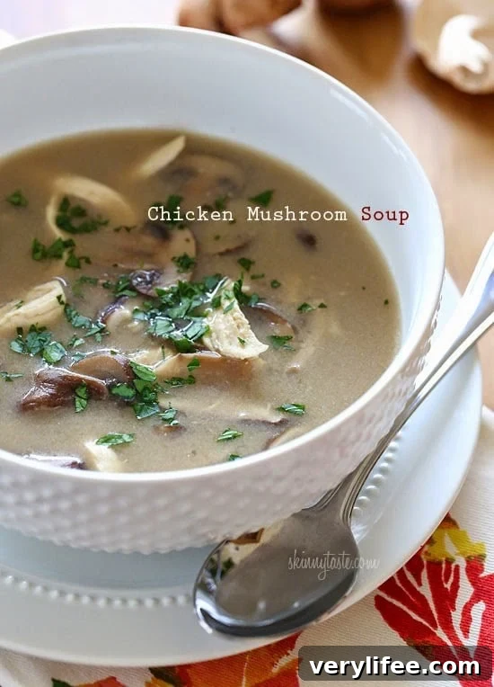 50 Low-Calorie Soup Recipes for Any Season 13 Chicken Mushroom Soup