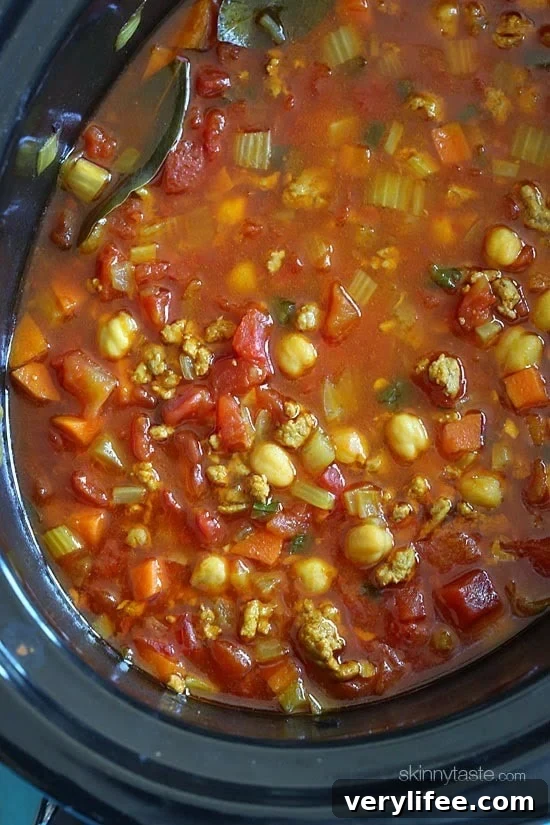 Slow Cooker Moroccan Turkey and Chickpea Stew Recipe 2 img 21466 2