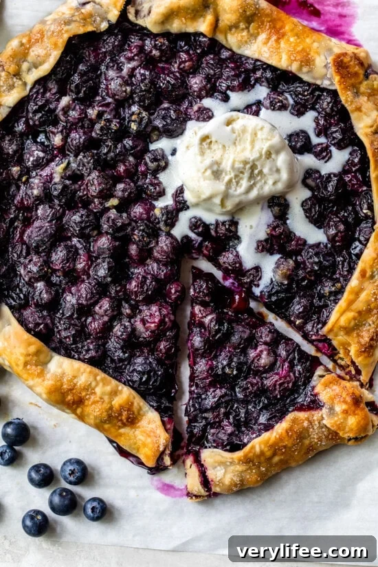 Blueberry Galette ala mode