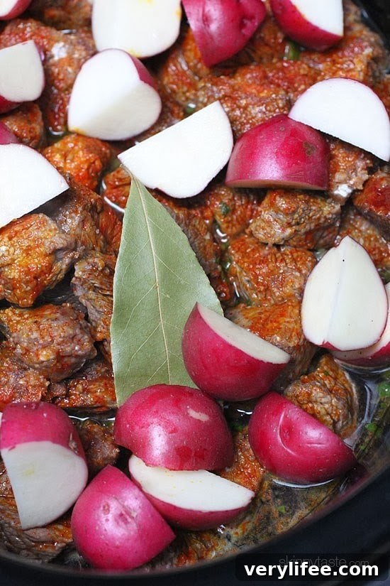Slow Cooker Latin Beef Stew (Carne Guisada) 8 Crock pot carne guisada is a slow cooked Latin beef stew with baby red potatoes and Latin seasonings. Serve this topped with fresh aji picante – it's a must and really brightens the flavors and rounds out the dish!