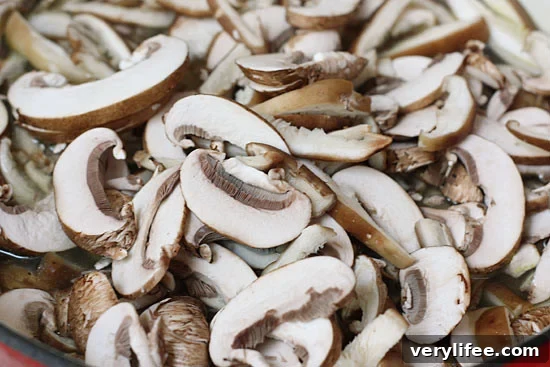 Creamy Mushroom Tortellini Soup 6 img 21586 5