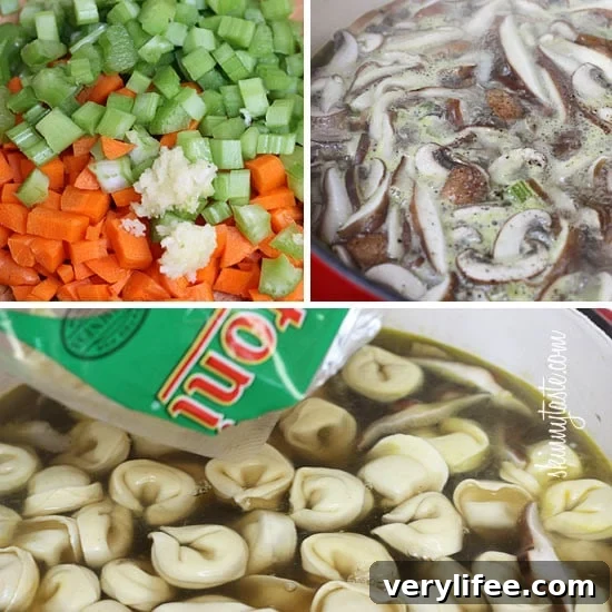 Creamy Mushroom Tortellini Soup 8 img 21586 7