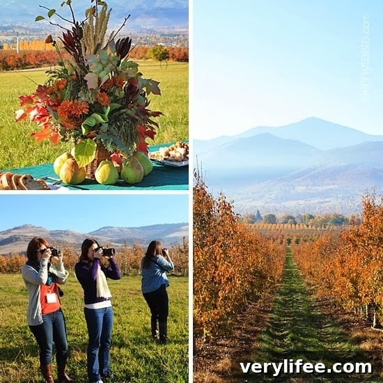 Broiled Wild Salmon with Cherry-Apple Chutney Recipe 4 A fall centerpiece arrangement surrounded by pears, three women taking pictures with rolling hills in the background, a fall scene with a path at an orchard leading to a field and mountains in the background