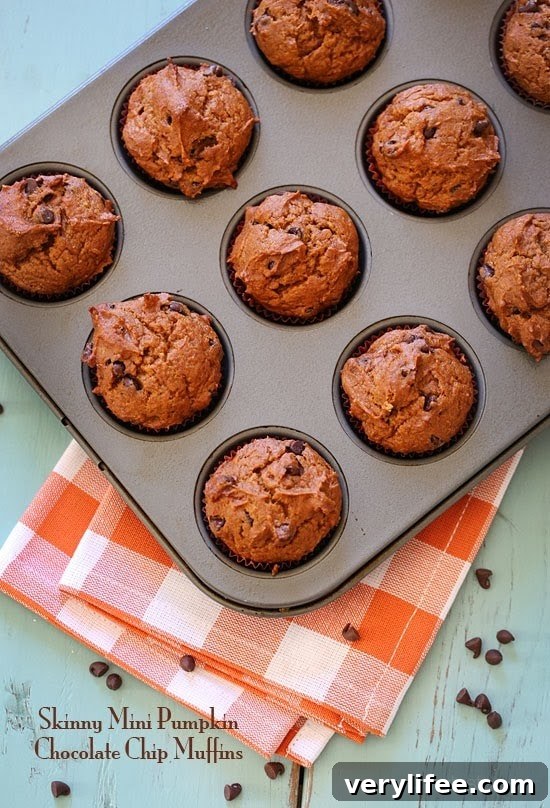 50 Pumpkin Recipes You'll Love This Fall 24 Skinny Mini Pumpkin Chocolate Chip Muffins