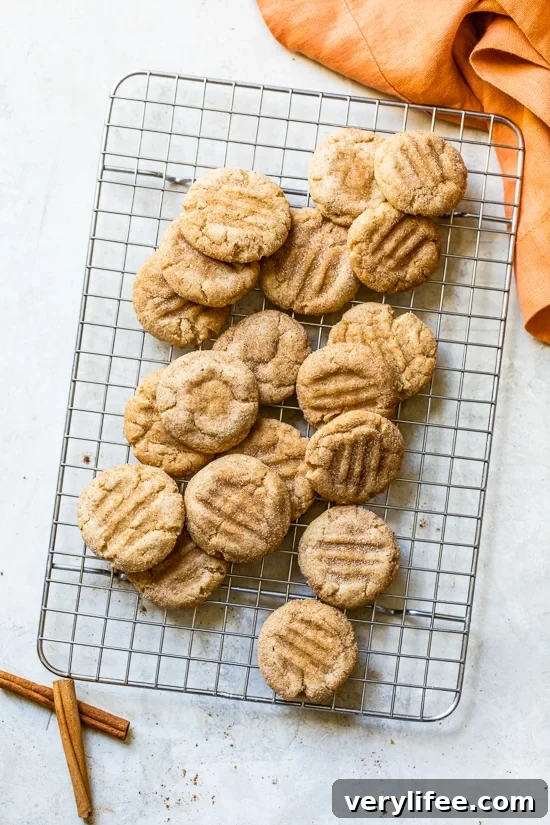 Light Pumpkin Snickerdoodle Cookies Recipe 6 Pumpkin snickerdoodle cookies on a wire rack