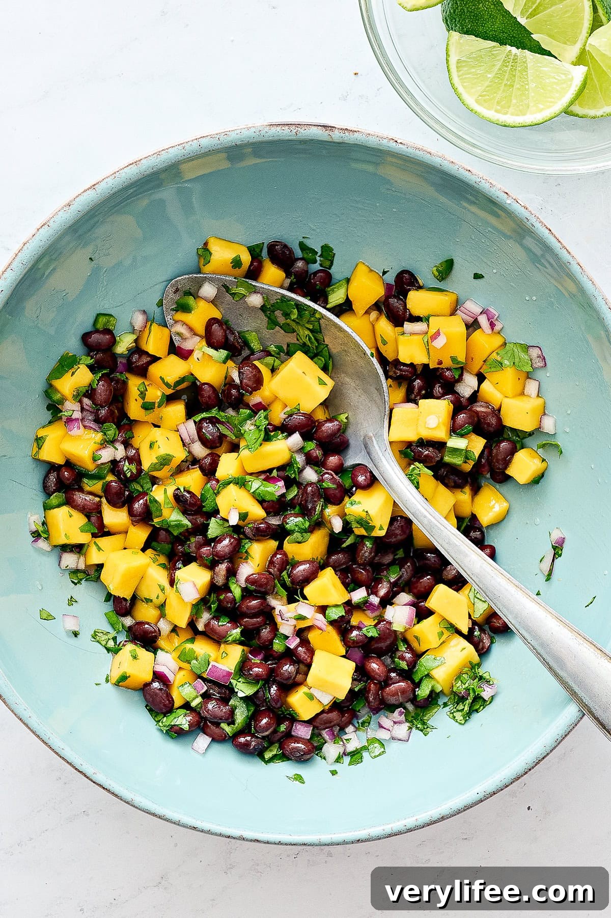 Mango Black Bean Salad