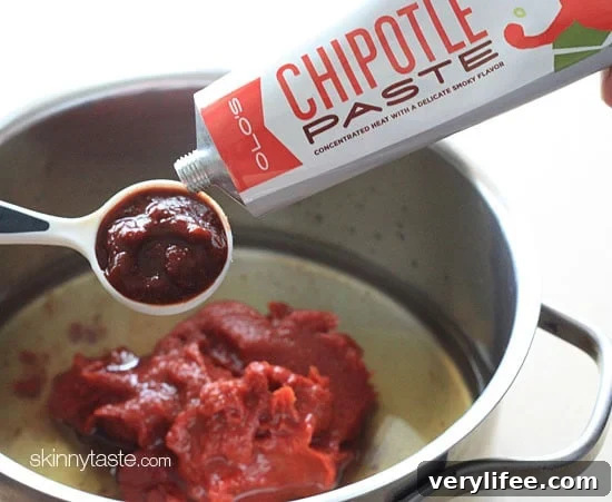 Homemade spicy chipotle ketchup made with clean ingredients you can feel good about eating!