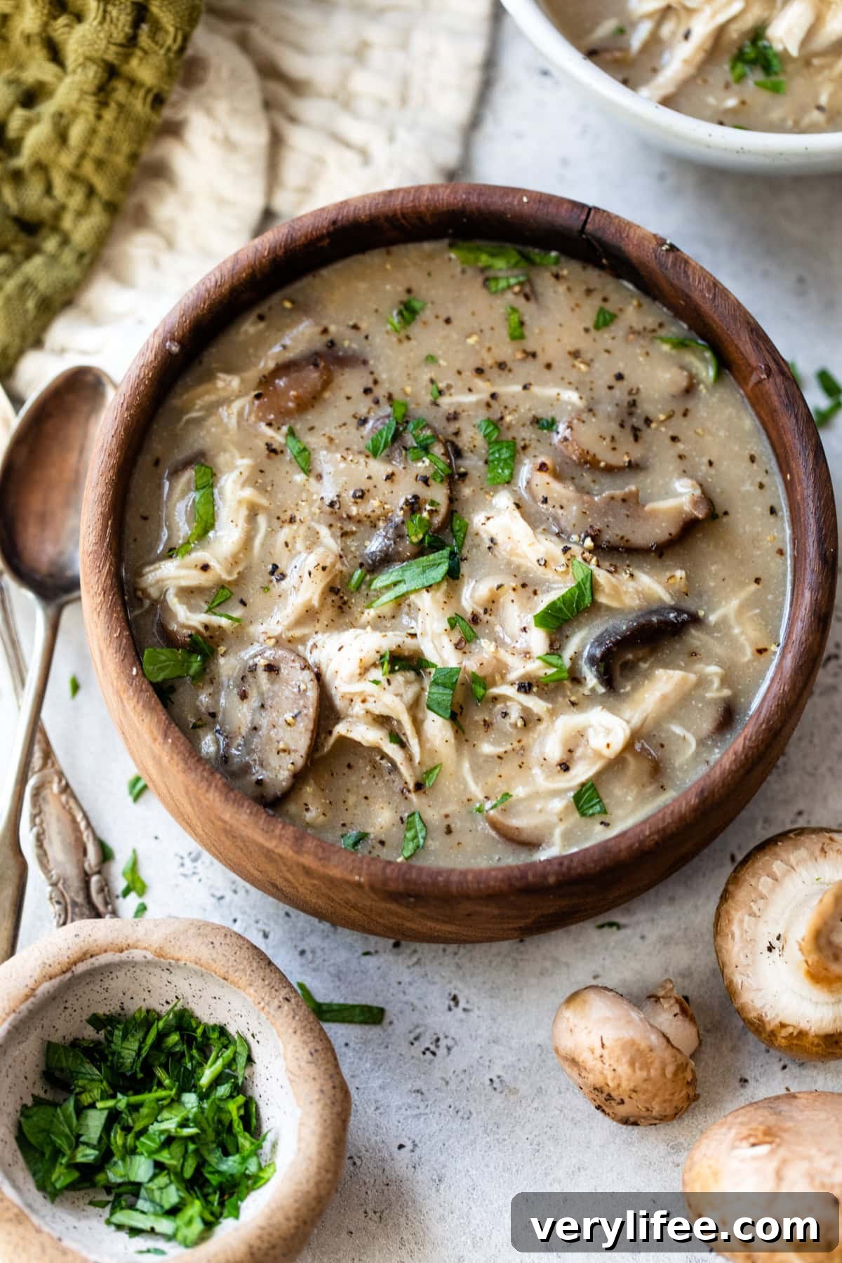 Creamy Chicken and Mushroom Soup