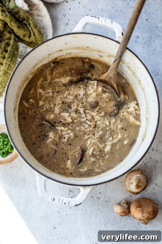 Creamy Chicken and Mushroom Soup