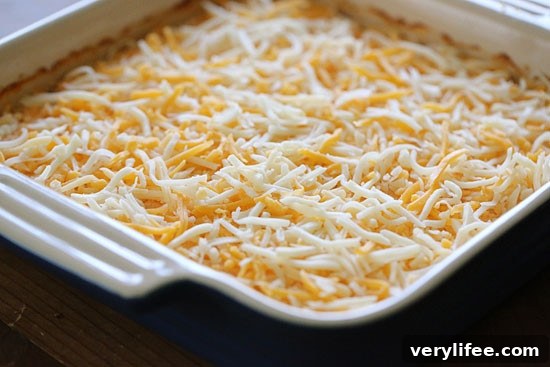 Close-up of cheesy buffalo shrimp dip