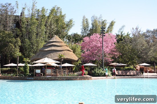 Disney's Animal Kingdom Lodge Orlando: Resort Review and Tips 6 img 21763 5