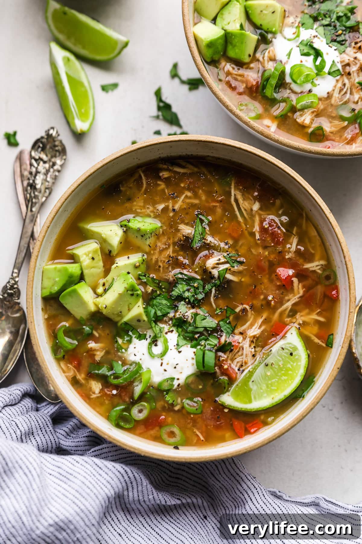 Slow Cooker Chicken and Black Bean Soup 2 Slow Cooker Chicken and Black Bean Soup in bowl with avocado