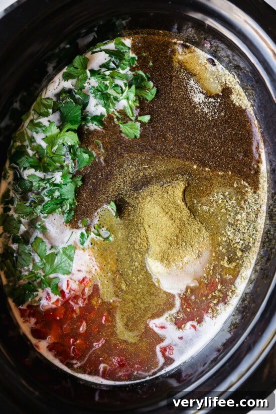 Slow Cooker Chicken and Black Bean Soup 6 Crockpot with Chicken and Black Bean Soup