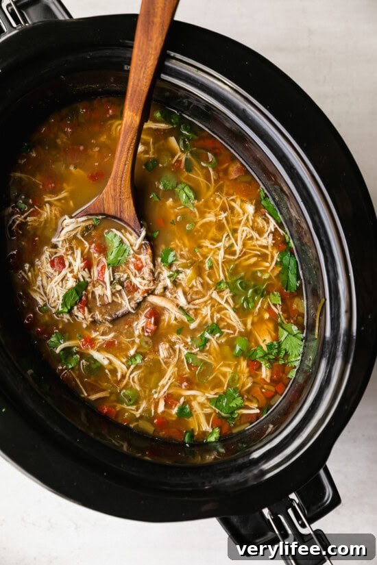 Slow Cooker Chicken and Black Bean Soup 7 Finished Slow Cooker Chicken and Black Bean Soup