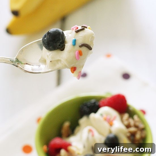 Creamy Banana Nice Cream: Dairy-Free Frozen Dessert 5 The ultimate