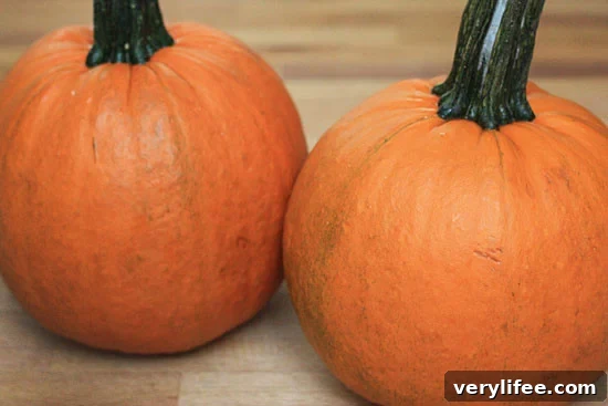 Roasted Pumpkin and Sage Soup Recipe 5 img 21825 4