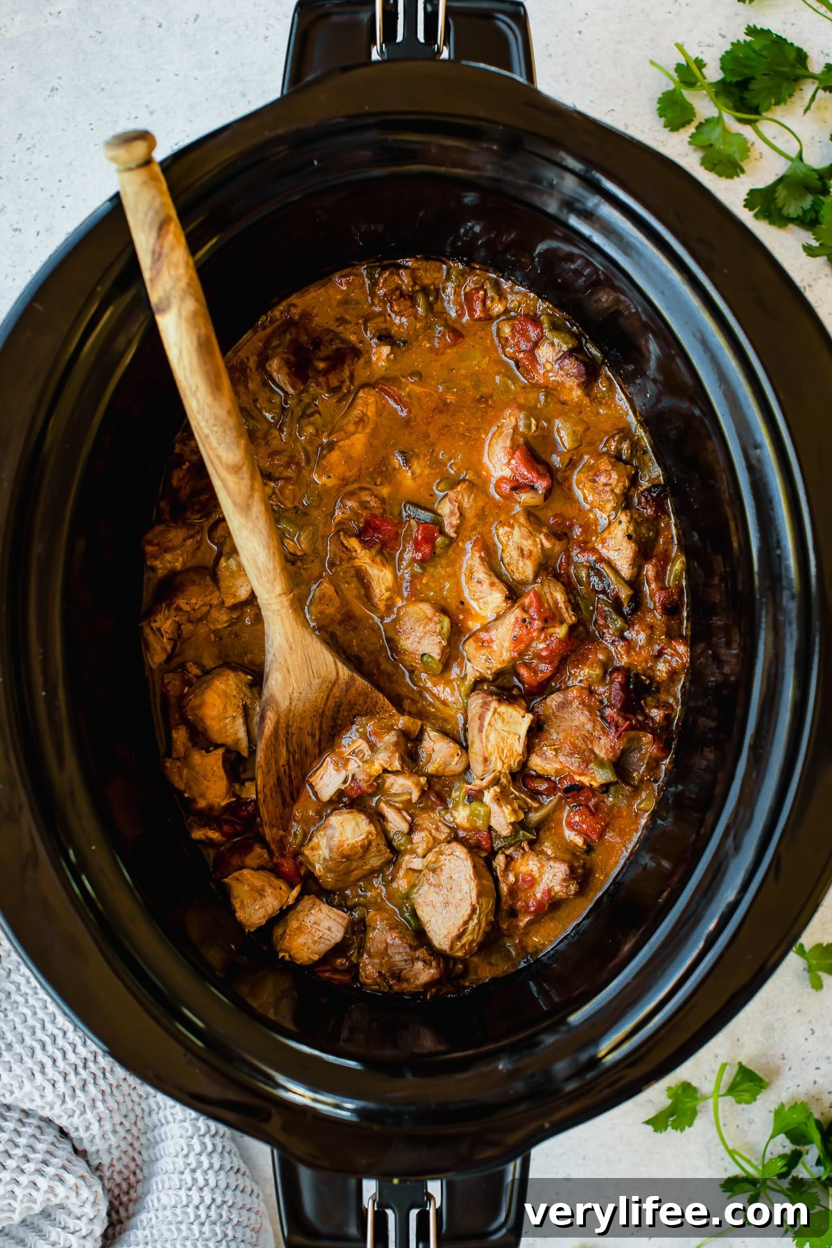 Slow Cooker Green Chili Pork Stew Recipe 9 Slow Cooker Green Chili Pork Stew
