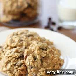 Finished oatmeal raisin walnut cookies on plate