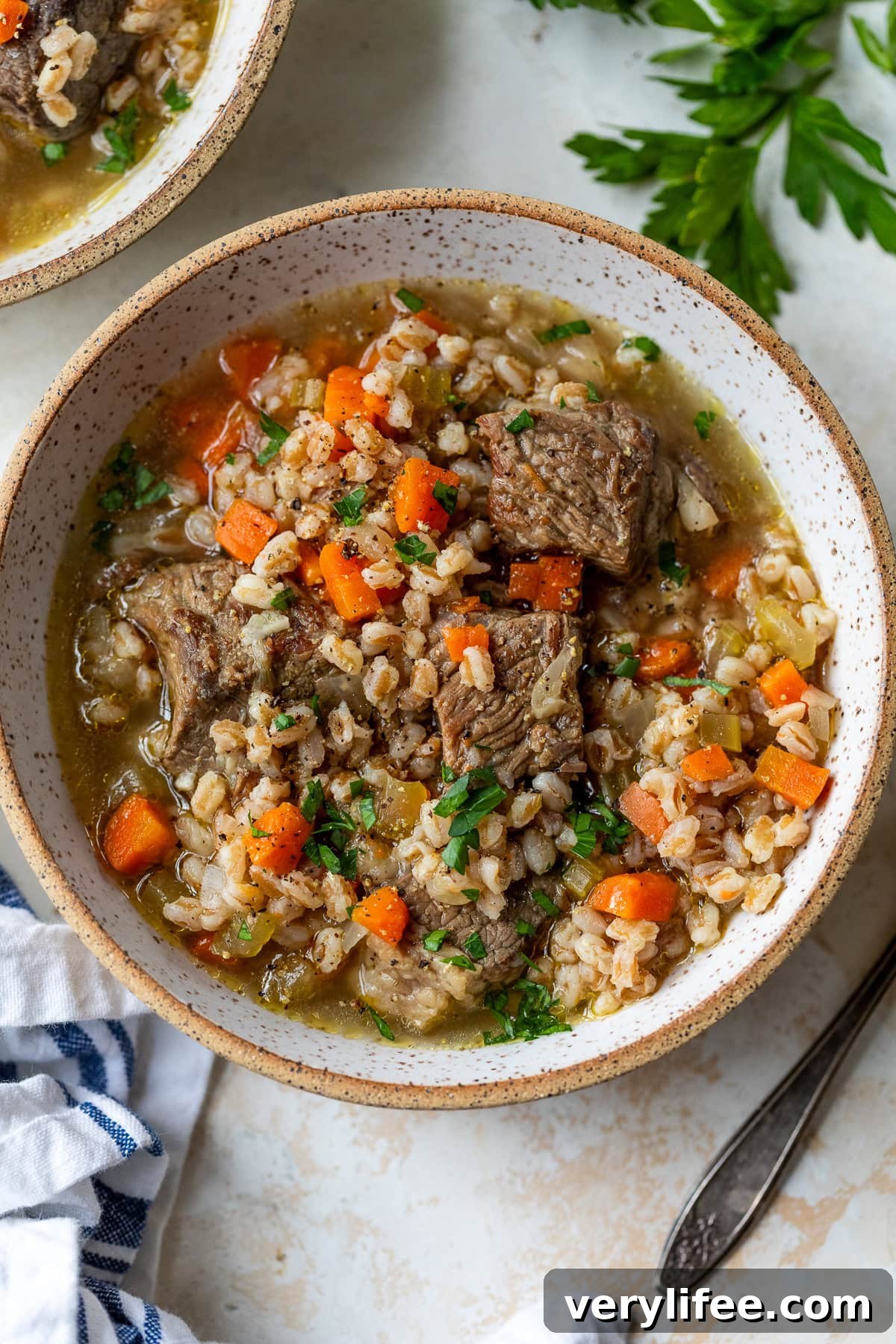 Hearty Beef and Barley Soup Recipe 11 Beef Barley Soup bowl