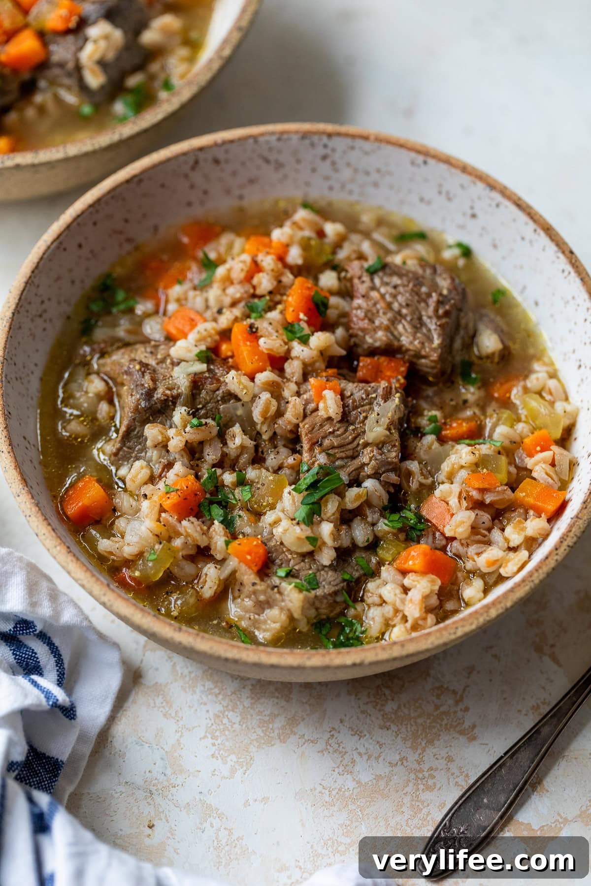 Hearty Beef and Barley Soup Recipe 12 Beef Barley Soup