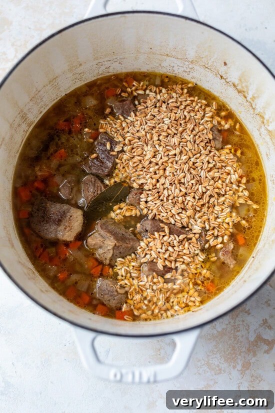 Hearty Beef and Barley Soup Recipe 9 Beef and barley