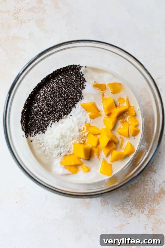A bowl with ingredients for coconut chia pudding with mango.