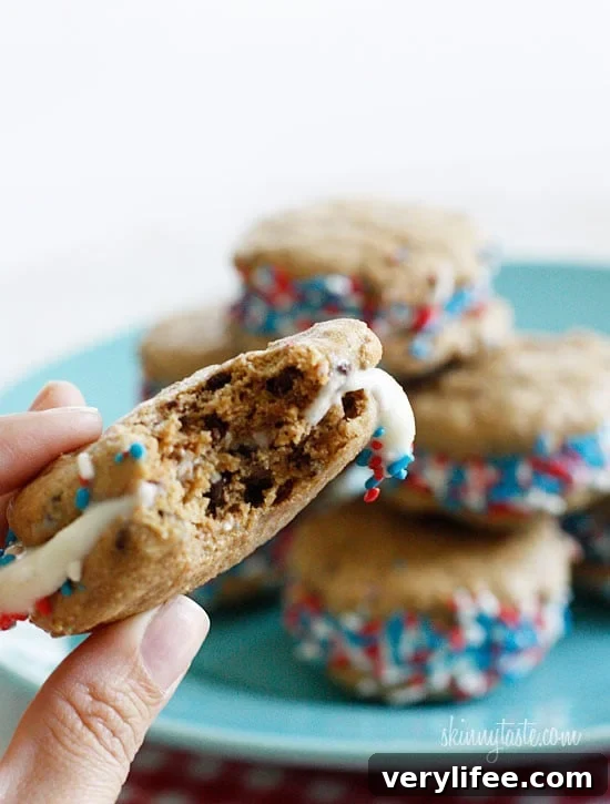 Low-Calorie Chocolate Chip Frozen Yogurt Sandwiches 4 img 21922 2