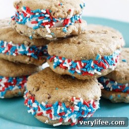 Low-Calorie Chocolate Chip Frozen Yogurt Sandwiches 3 Skinny Chocolate Chip Fro-Yo Sandwiches