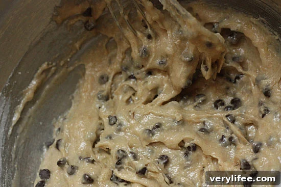 Low-Calorie Chocolate Chip Frozen Yogurt Sandwiches 7 img 21922 6