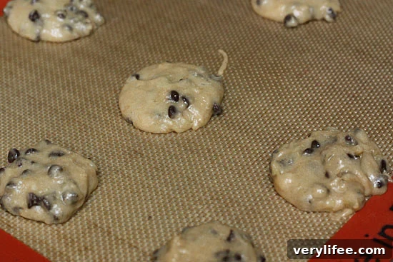 Low-Calorie Chocolate Chip Frozen Yogurt Sandwiches 8 img 21922 7