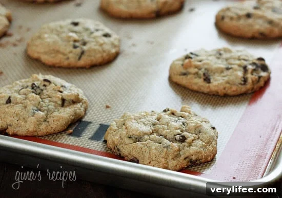 Low-Calorie Chocolate Chip Frozen Yogurt Sandwiches 9 img 21922 8