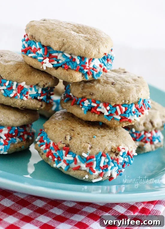 Low-Calorie Chocolate Chip Frozen Yogurt Sandwiches 10 img 21922 9