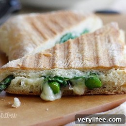 Grilled Asparagus and Prosciutto Panini with Garlic Mayo 6 Melted Swiss cheese, asparagus, prosciutto, arugula and garlic mayonnaise pressed in a ciabatta panini.