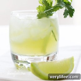 Crisp Celery and Cilantro Cocktail Recipe 4 Celery Cilantro Cocktail photo