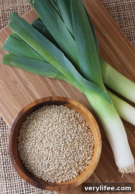 Bowl of Irish oatmeal and leek soup