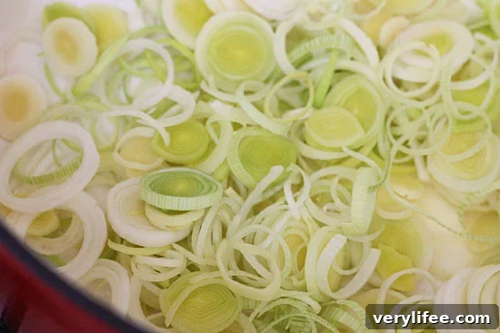 Serving suggestion for Irish oatmeal leek soup