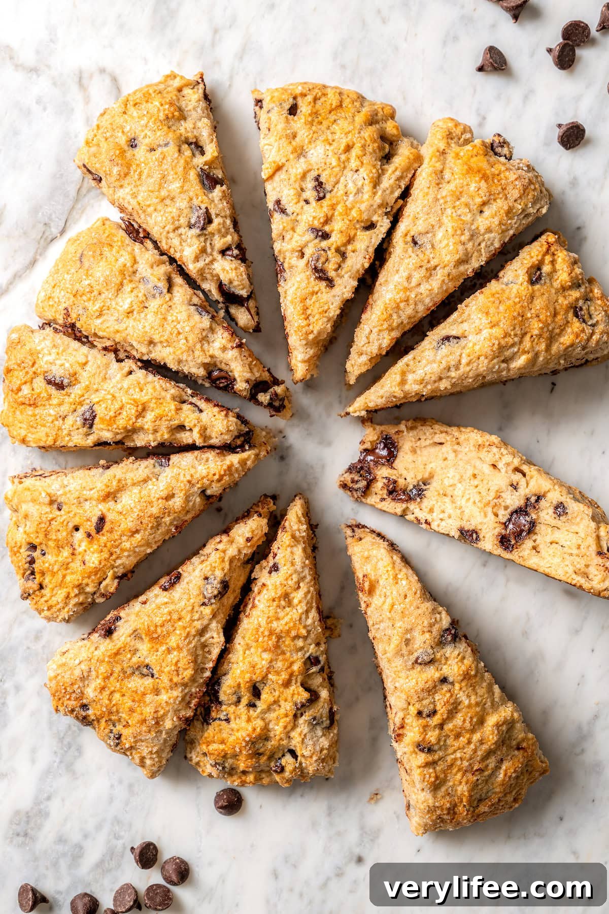 Chocolate Chip Scones Recipe: Tender, Buttery, Flaky 10 Overhead view of chocolate chip scones arranged in circle