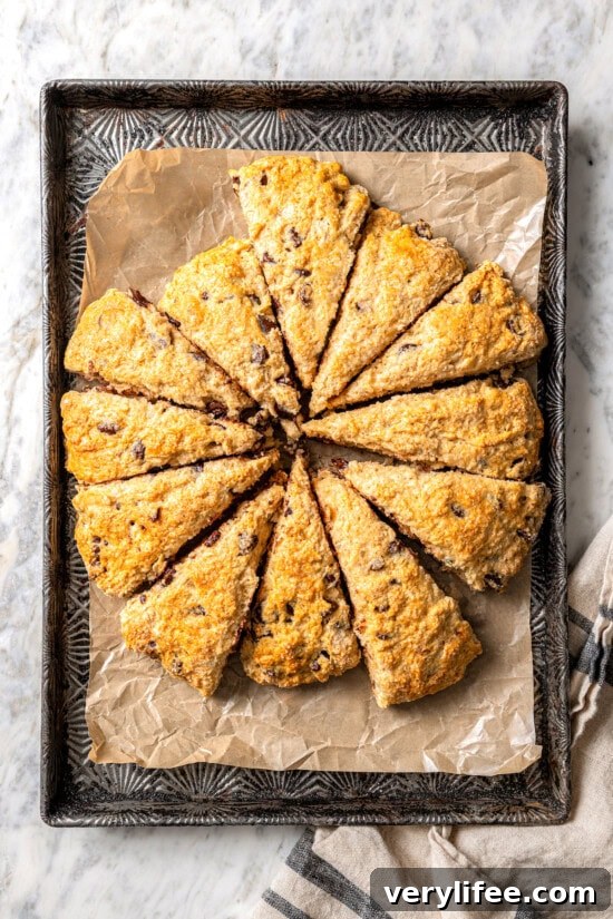 Chocolate Chip Scones Recipe: Tender, Buttery, Flaky 9 Overhead view of baked chocolate chip scones on parchment-lined baking sheet