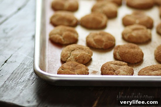 Soft Chewy Whole-Wheat Snickerdoodle Cookie Recipe 3 Freshly baked skinny whole wheat snickerdoodle cookies on a cooling rack